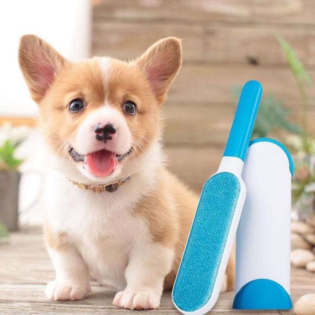 GENERICO - Removedor de pelusa pelo de mascota cepillo para quitar