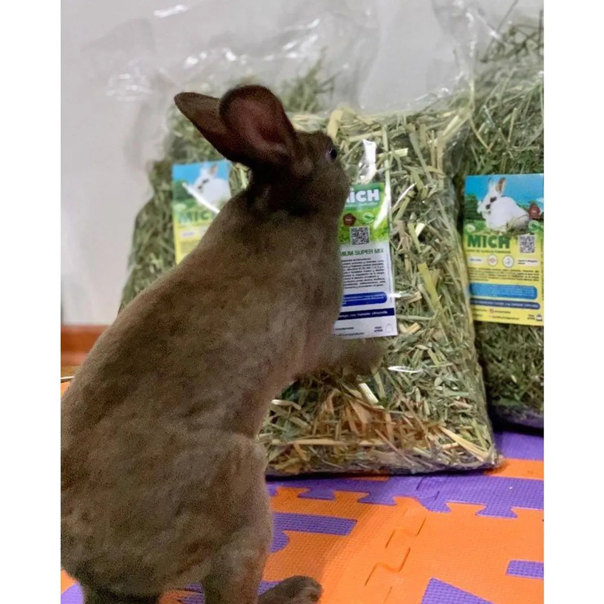 GENERICO - Heno Mich Alfalfa 1kg comida conejo alimento