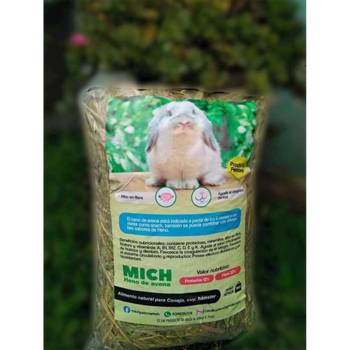 GENERICO - Heno Mich Avena 1kg comida conejo alimento