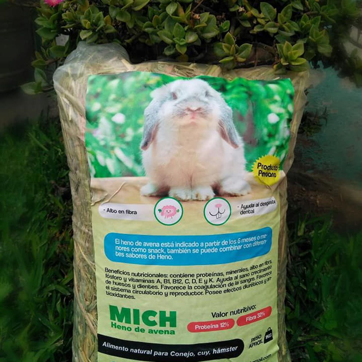 GENERICO - Heno Mich Avena 1kg comida conejo alimento