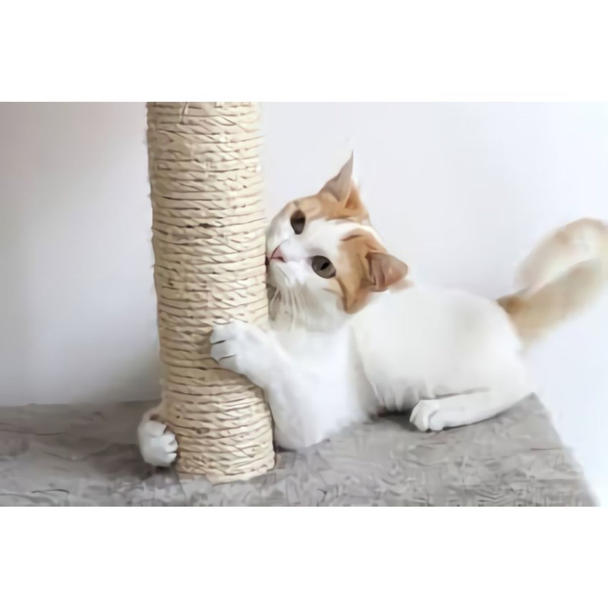 GENERICO - Gimnasio rascador para gatos madera 2 niveles Azul