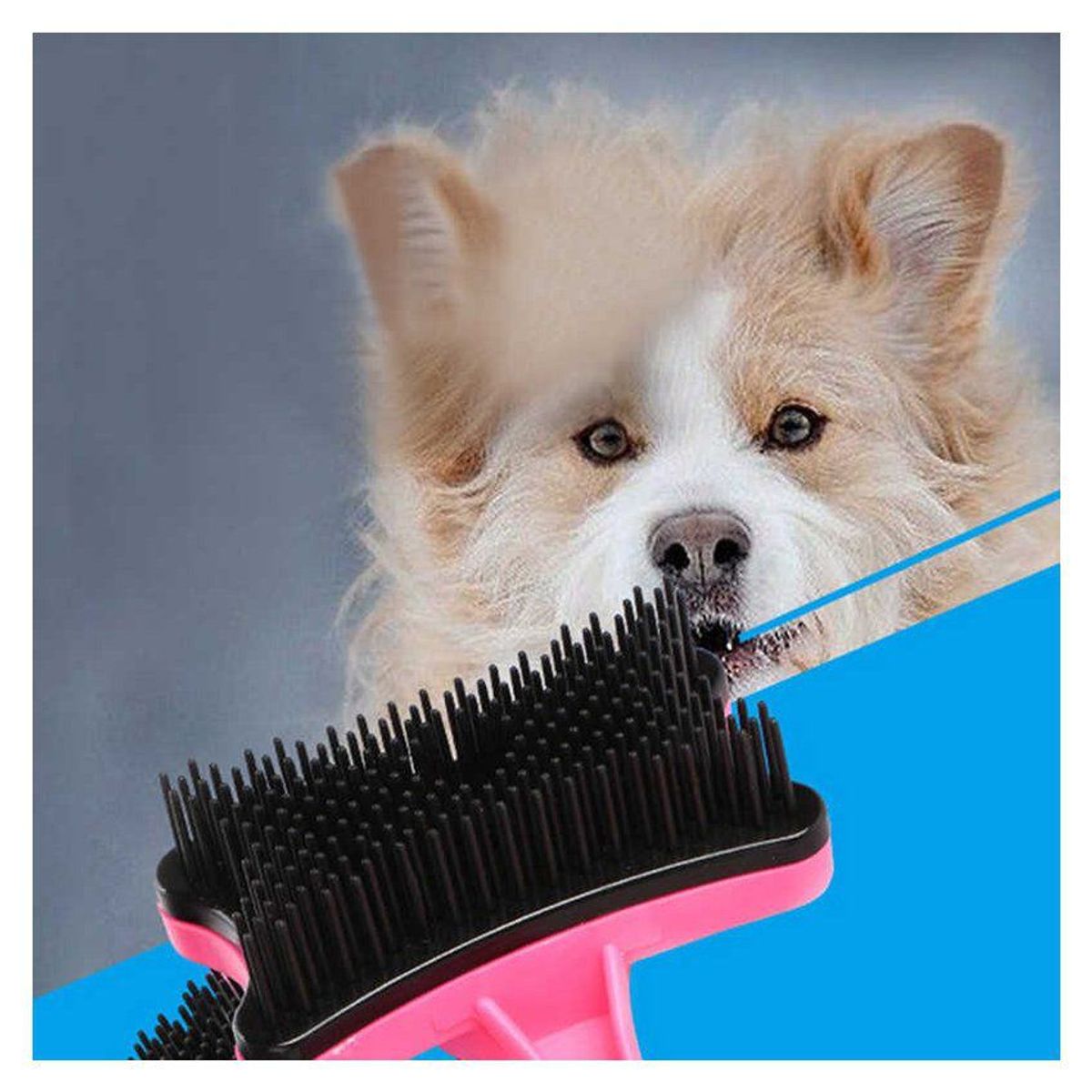 GENERICO - Peine automatico perro gato conejo de plastico para mascota…