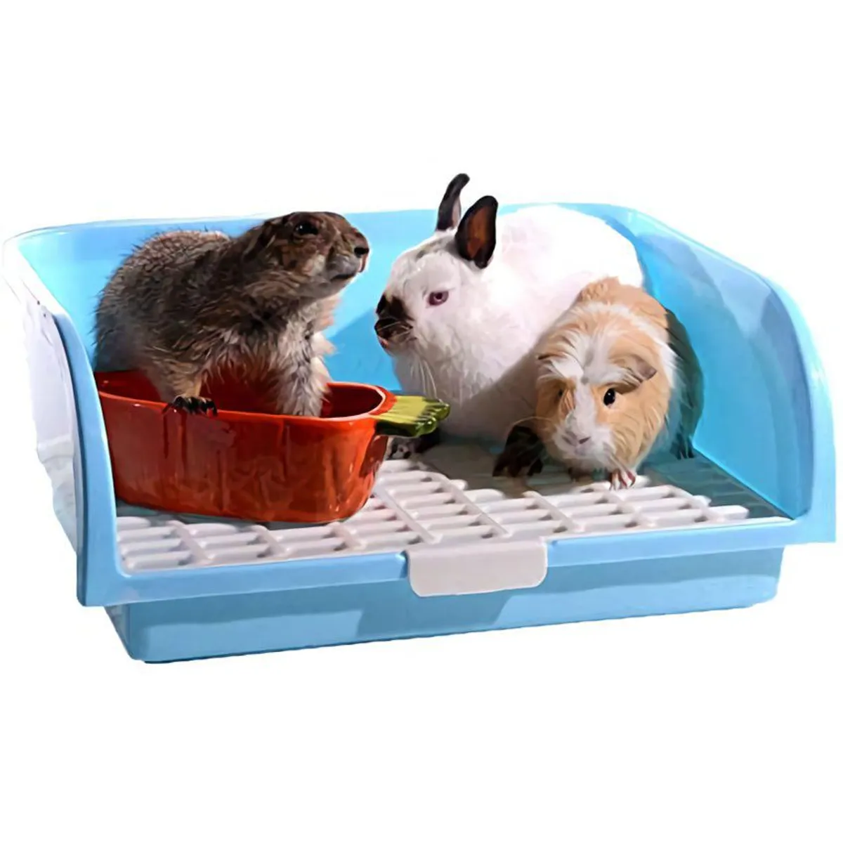 GENERICO - Baño para conejo o cuy XL paredes altas esquinero rosado