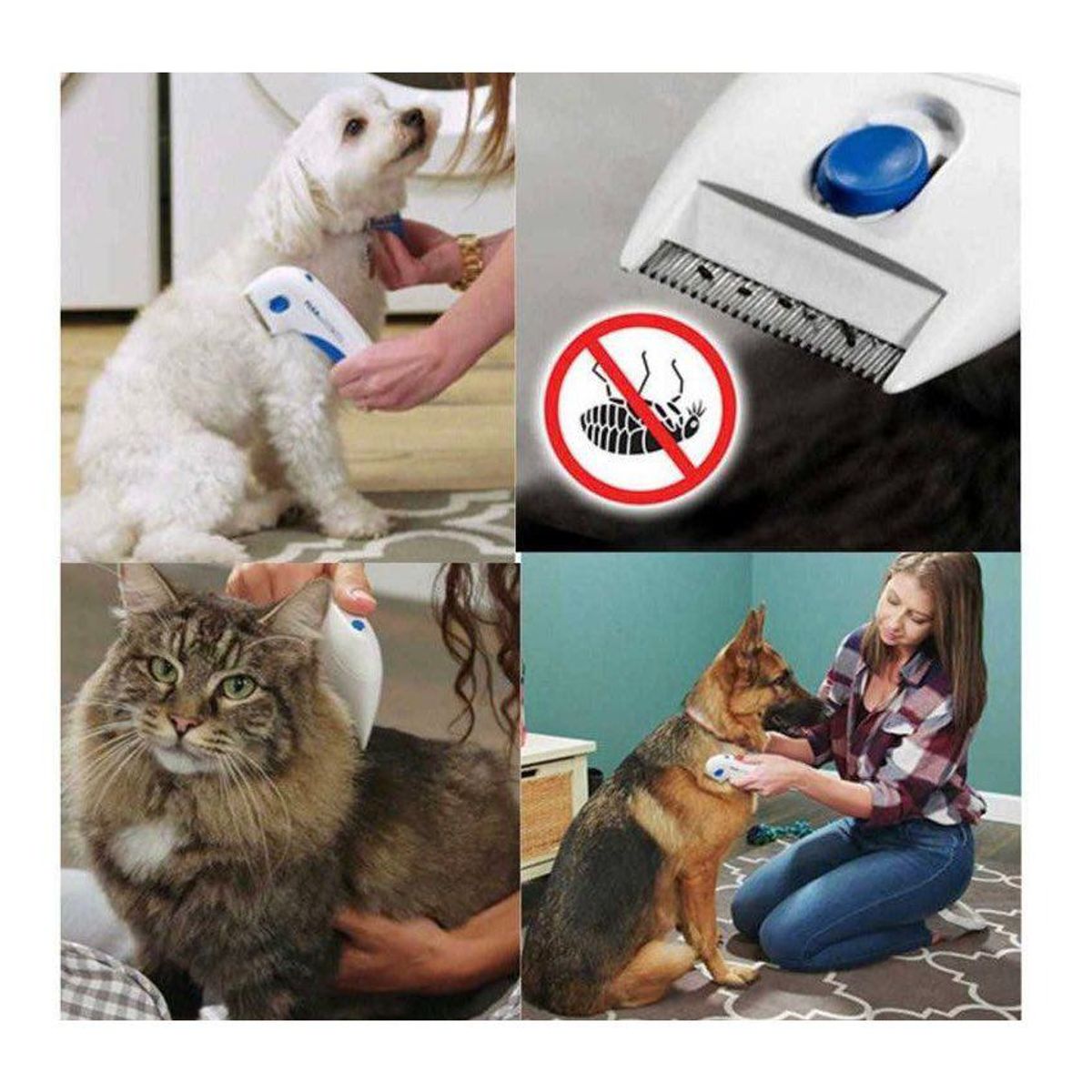 ANKAFA IMPORTACI?N - Flea doctor elimina pulgas garrapatas perro y gatos