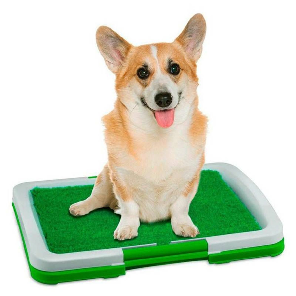 OEM - Baño Ecologico Entrenador Para Mascotas Perros Urinario