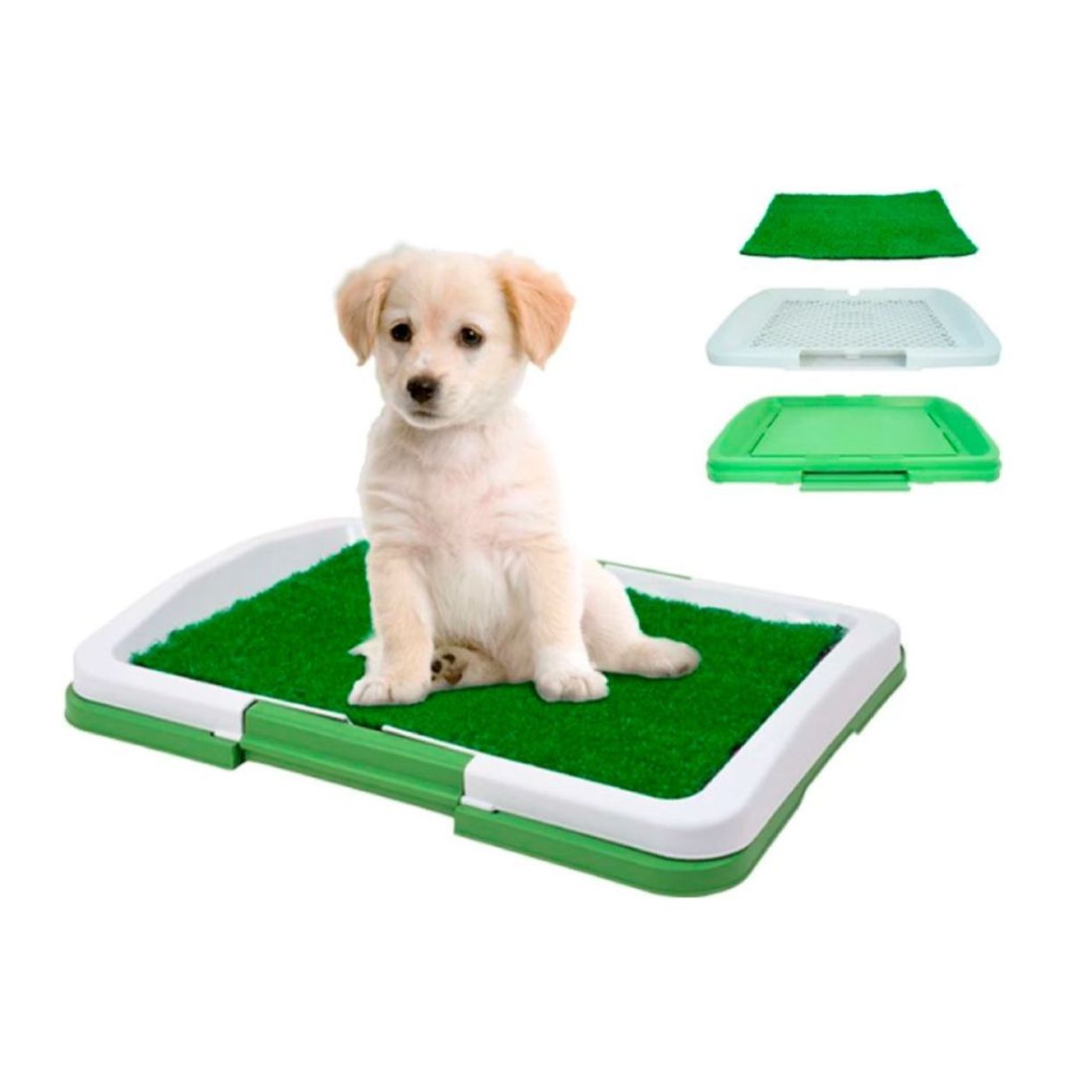 OEM - Baño Ecologico Entrenador Para Mascotas Perros Urinario