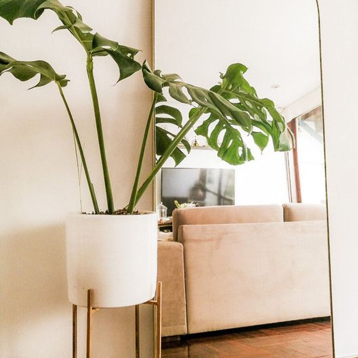 GENERICO - Espejo de arco ZEUS dorado madera MDF 180 X 75 cm Vidrio Belga 4mm