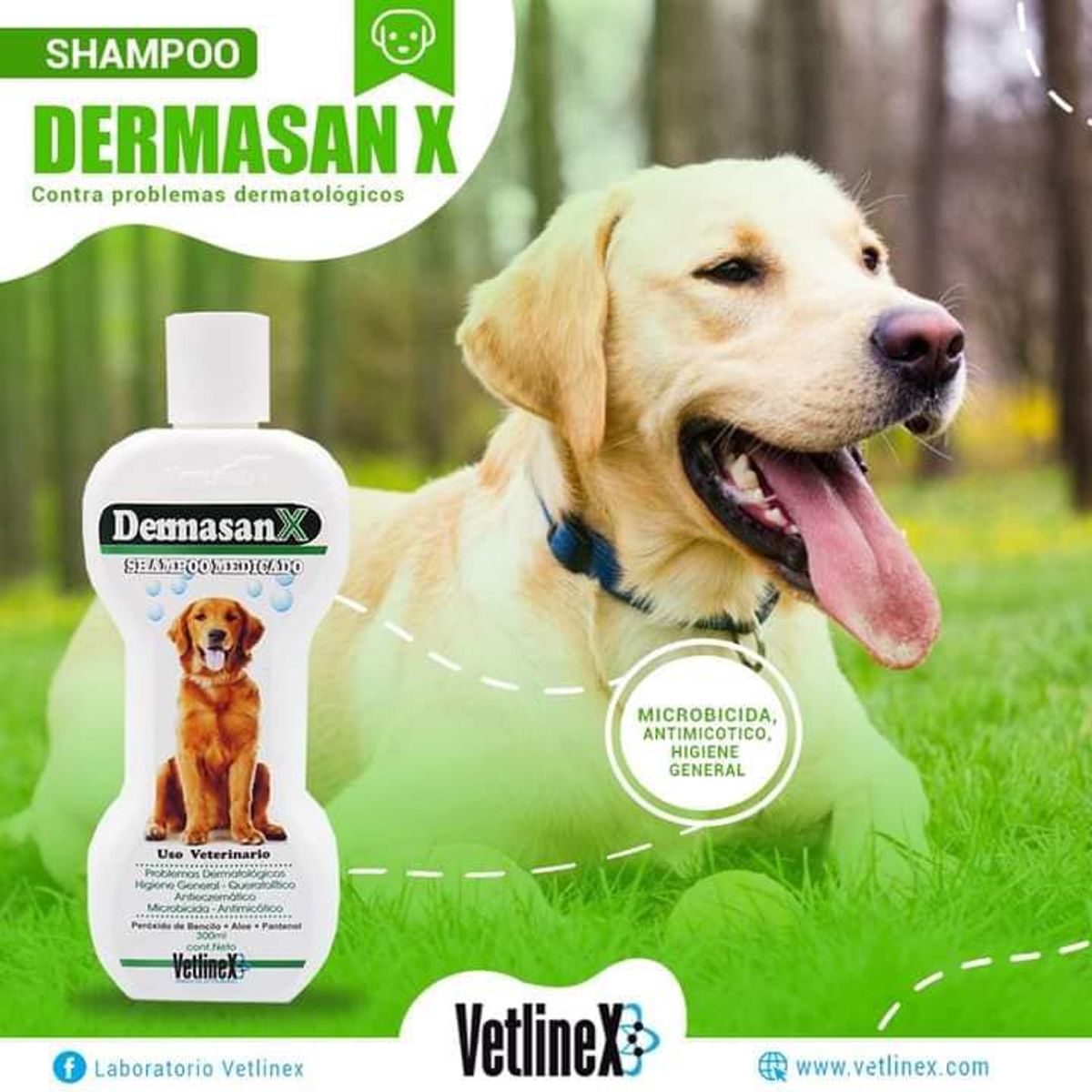 VETLINEX - SHAMPOO MEDICADO PARA PERROS VETLINEX DERMASAN 300 ML