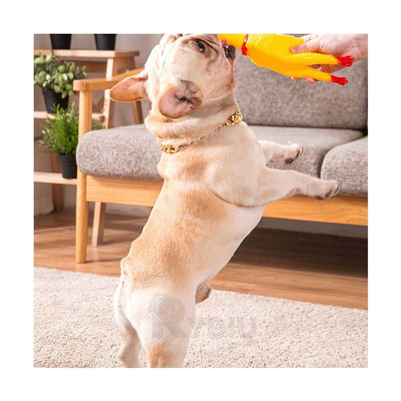 GENERICO - Juguete para Perros en forma de Pollo Talla S