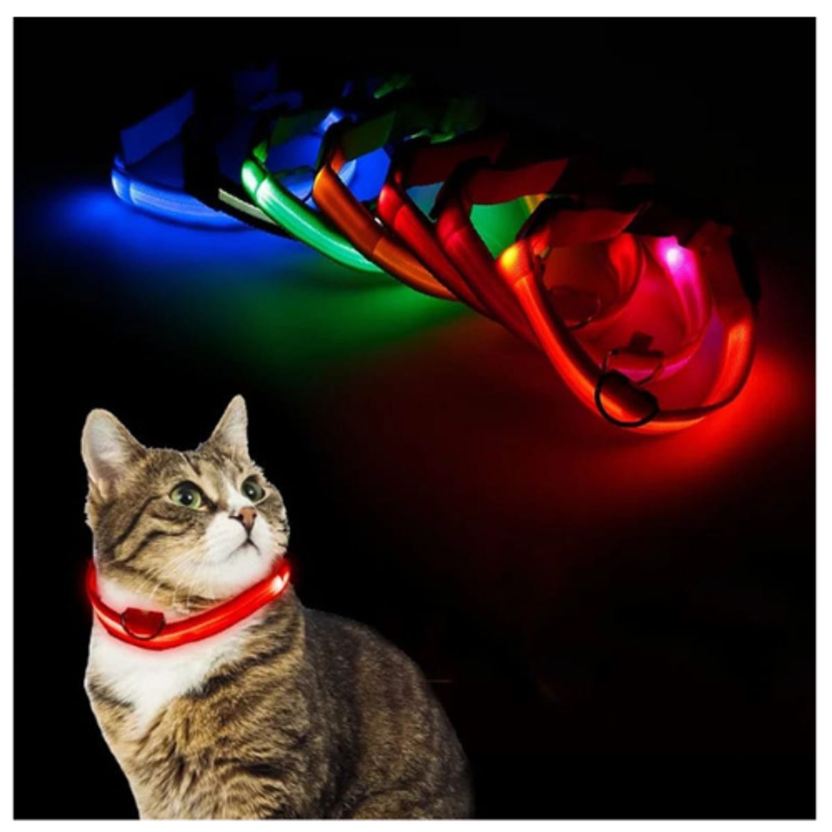 GENERICO - Collar Correa con Luces Mascota Perro Gato Rosa