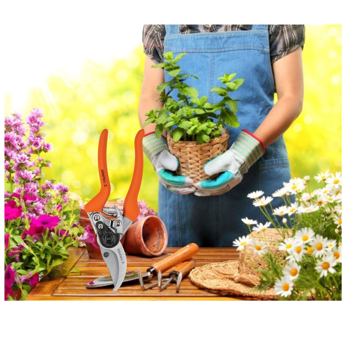 TRUPER - Tijera de poda 8 cuchilla de paso cosecha de frutas - Truper