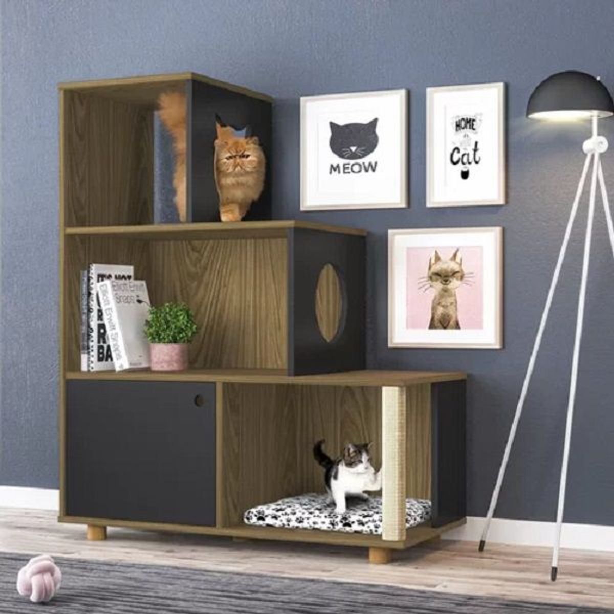 73 EXPERIENCE - Librero Binfo- Color Gales & Negro - 73 Experience