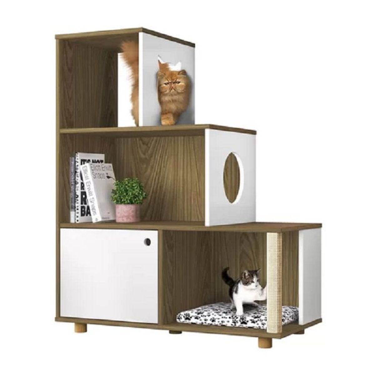 73 EXPERIENCE - Librero Gat- Color Gales & Blanco - 73 Experience