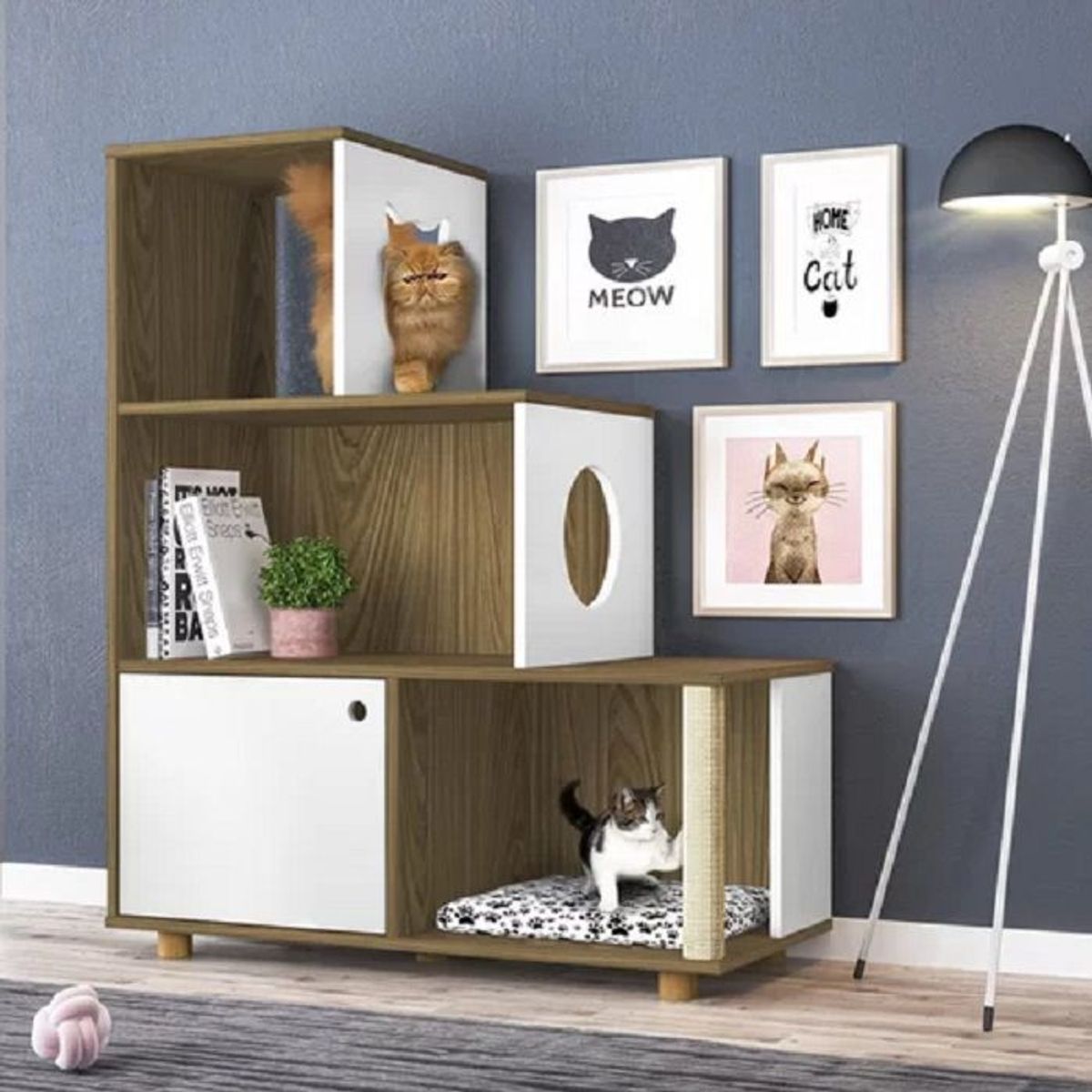 73 EXPERIENCE - Librero Gat- Color Gales & Blanco - 73 Experience