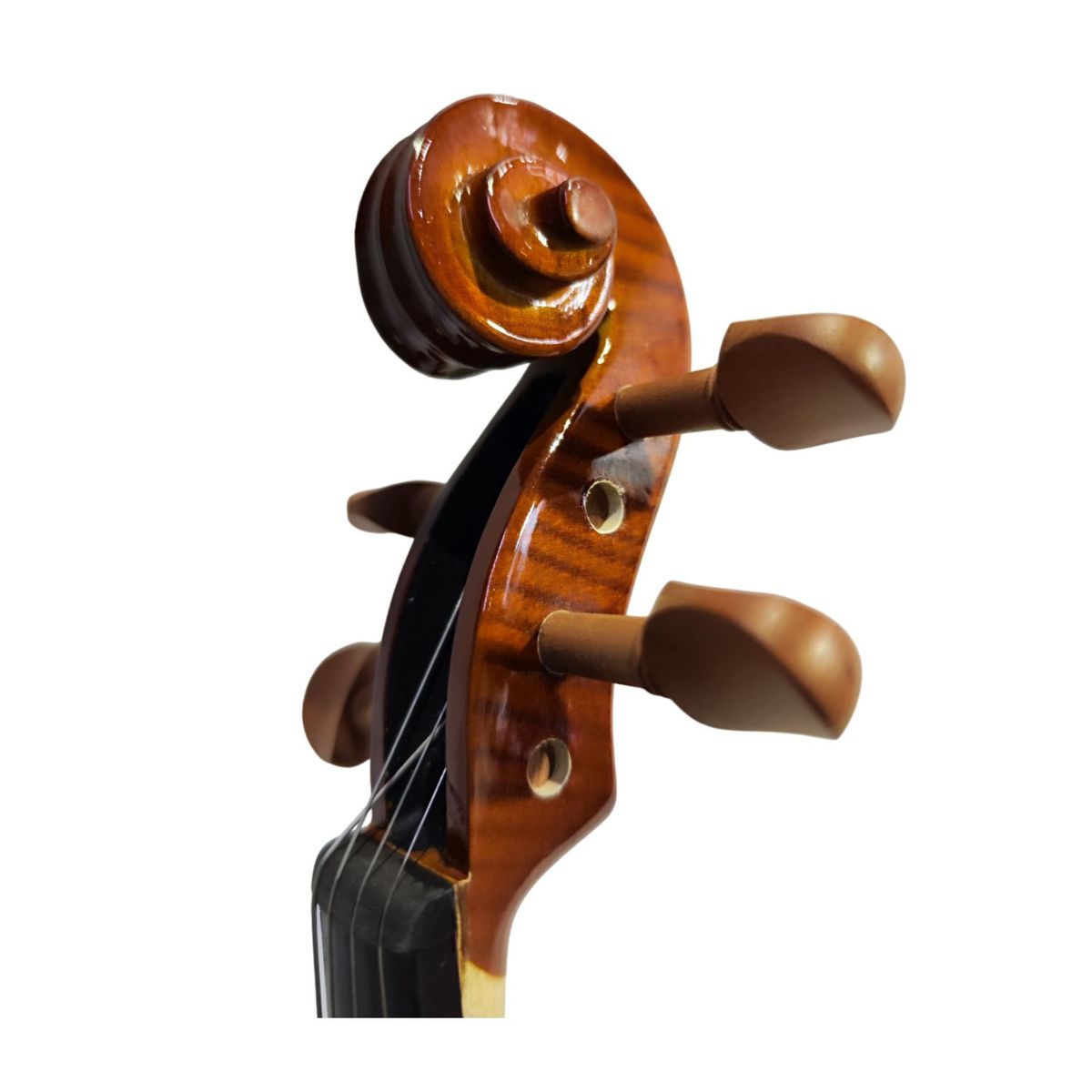 GENERICO - Violín Star Sun estudiante