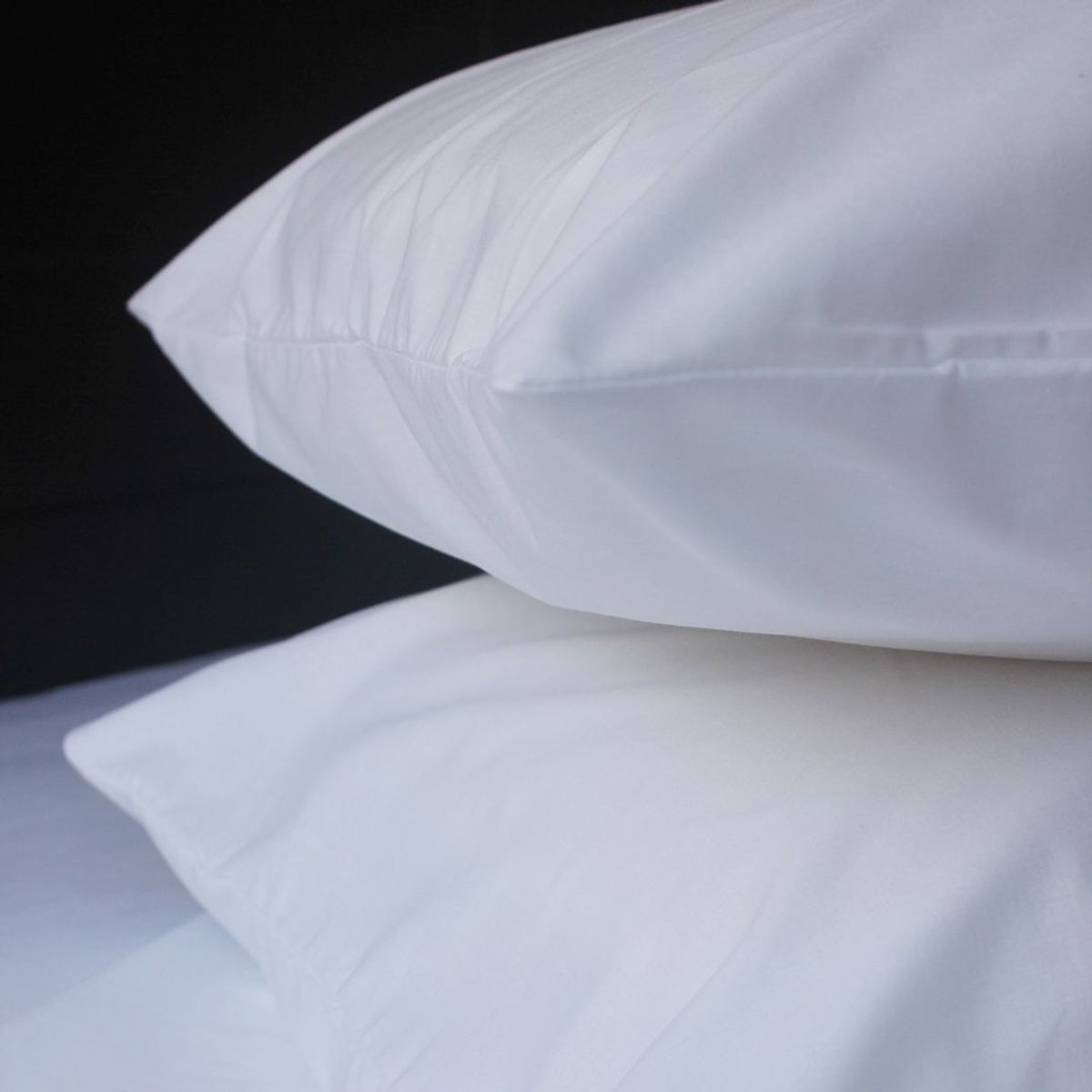 SUIT THE BED - Almohada Estándar 650 gr -  1 Unidad