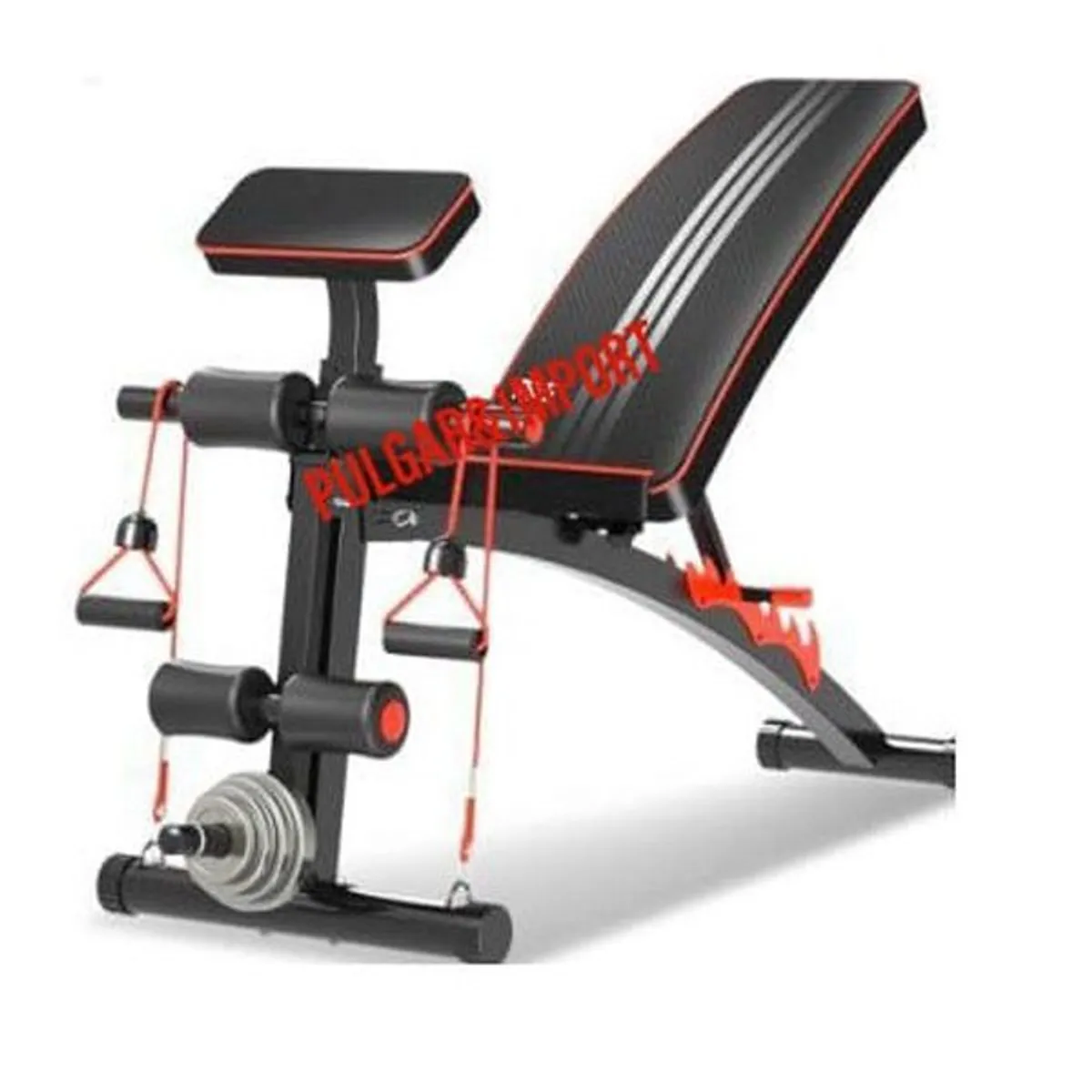 RISUTIMPORT - Banca Con Predicador Abdomen Glúteo Pierna Pecho + 2 Ligas