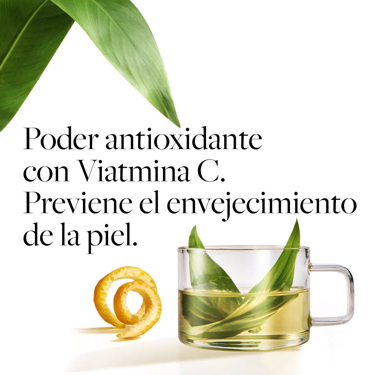 LBEL - Oleo Efecto Détox Vitamina C Bio Resist_123