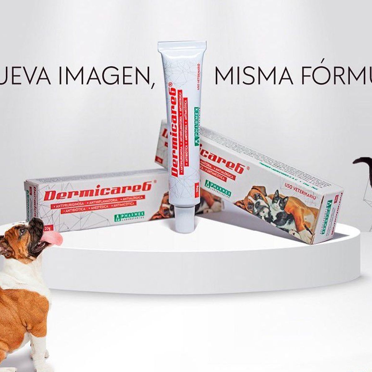 GENERICO - CREMA PARA PERROS Y GATO CREMA PARA LA PIEL DERMICARE6 20 GR