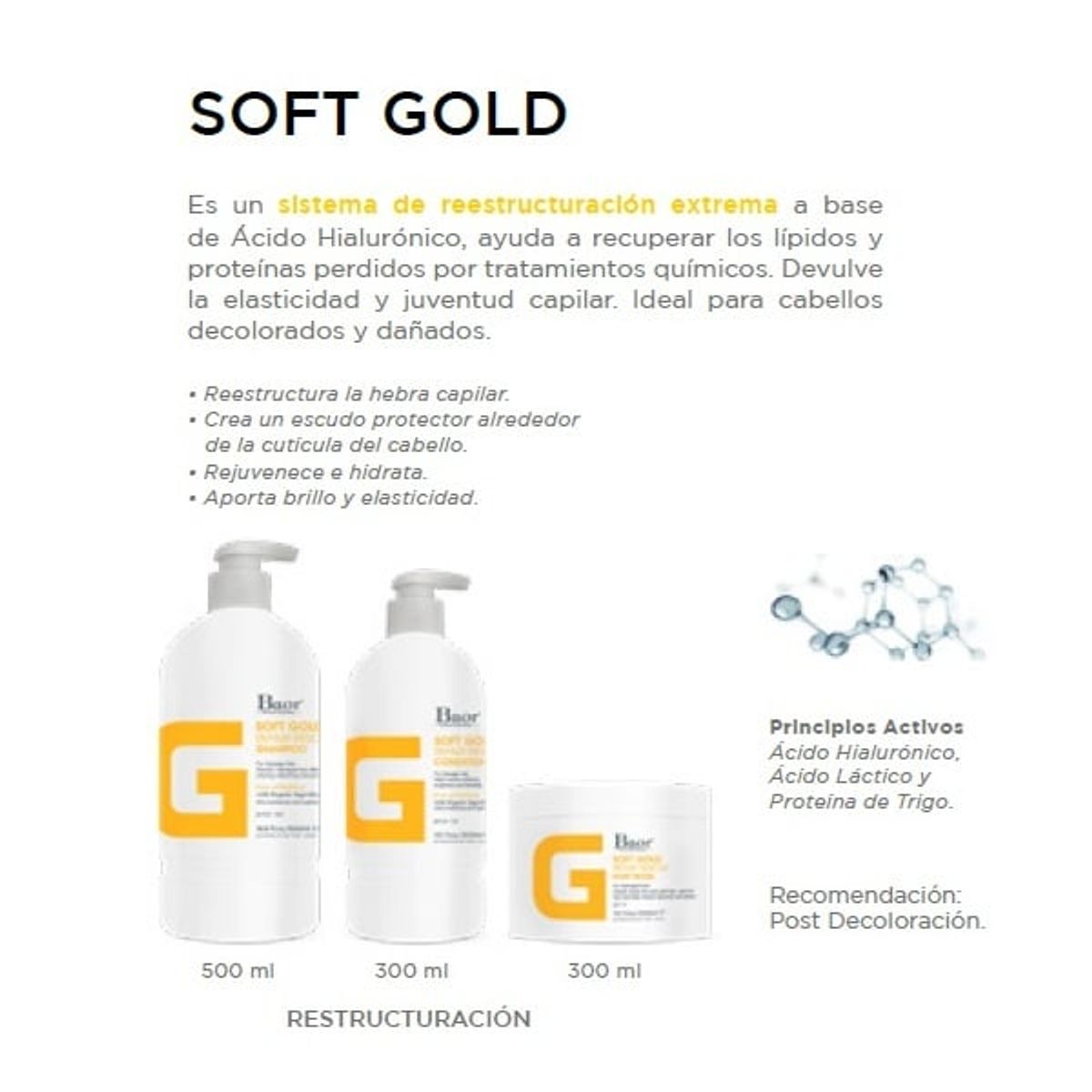 BAOR PROFESSIONAL - Shampoo Reparador + Mascarilla + Brush Thermo Protect Baor G Soft Gold