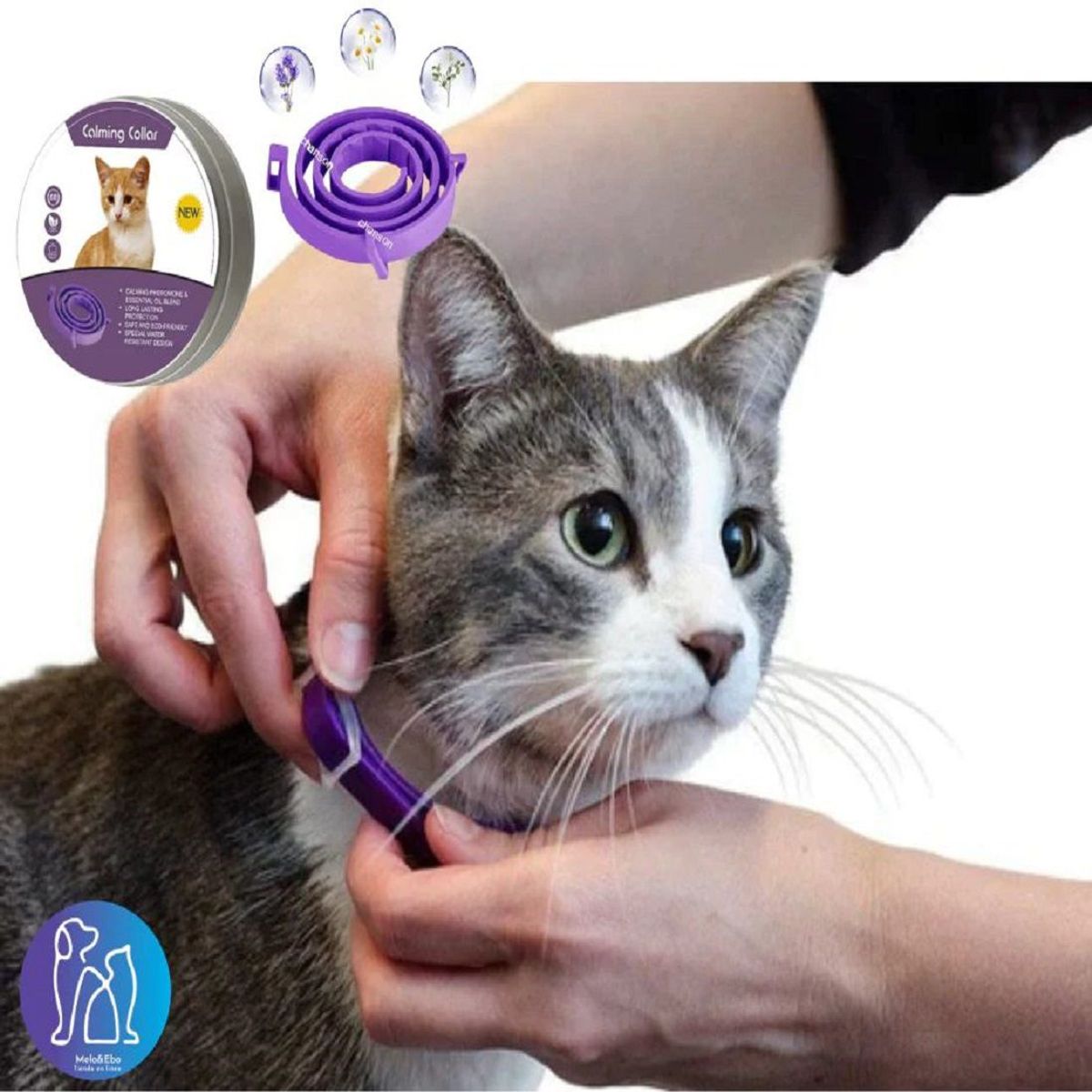CALMING - CALMING - Collar Calmante para Gatos