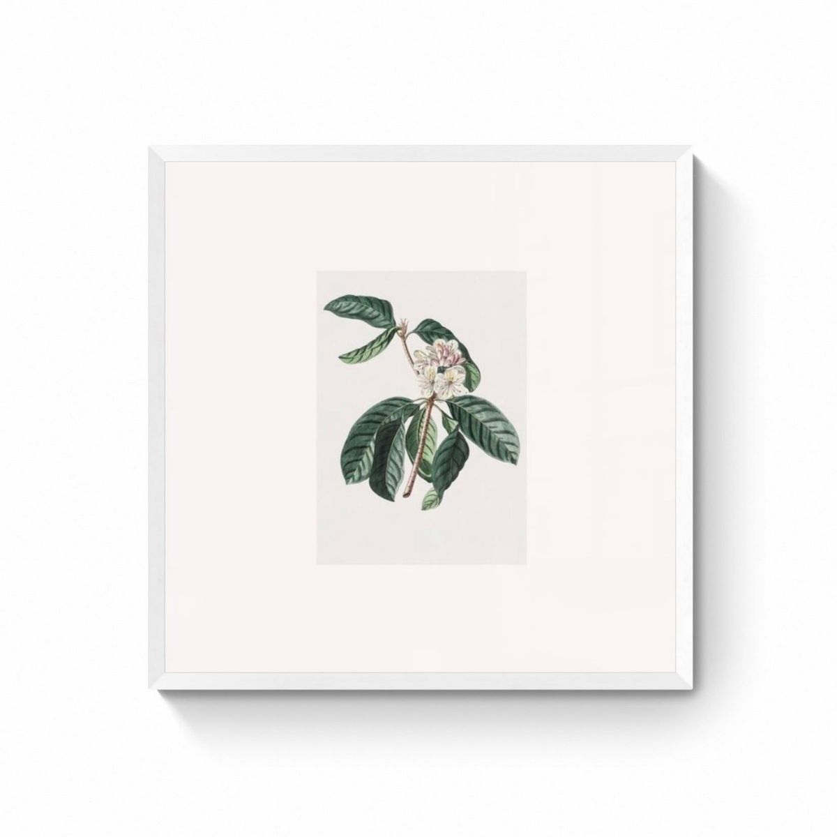 DECO DESIGN - Deco Design Cuadro Floral 50X50Cm