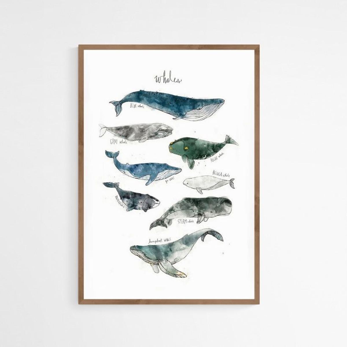 DECO DESIGN - Deco Design Cuadro Whales 30X40Cm