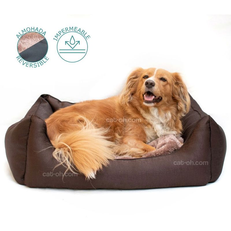 CAT OH - Cama impermeable para perros Mocha - Talla M