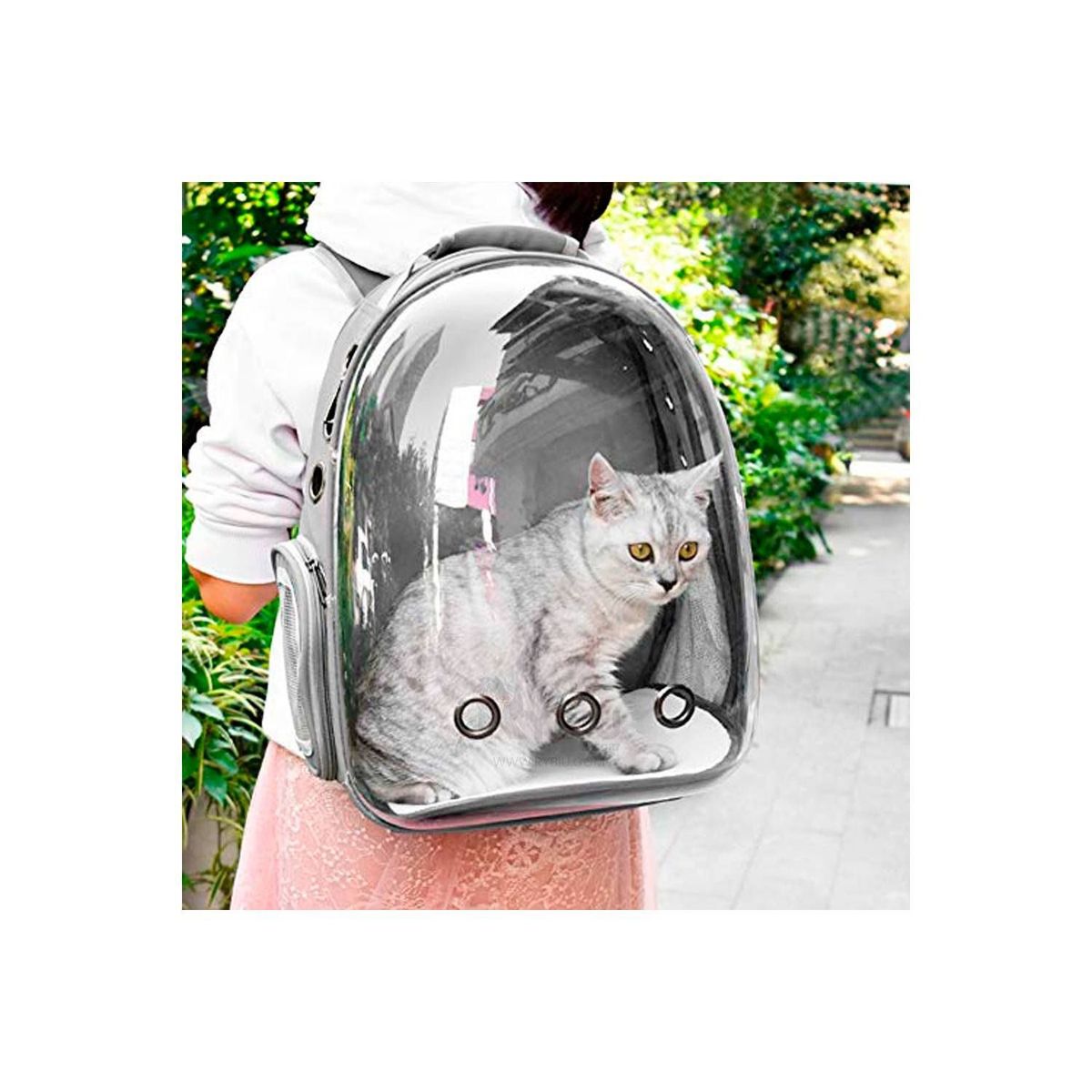 GENERICO - Mochila Transportartadora Para Gato Perro-Mascotas