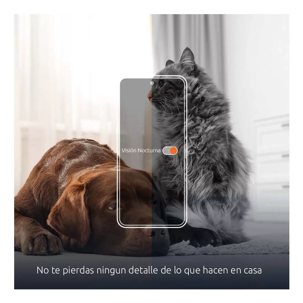 TECH CARE - Comedero Smart Con Cámara Para Mascotas