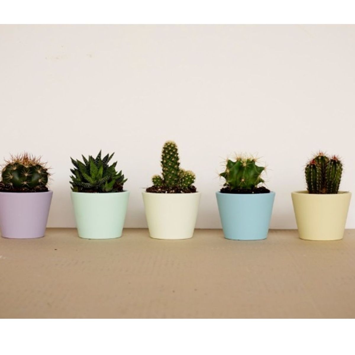 LA PAJARITA - Chalk Paint CP-35 Violet 75ml