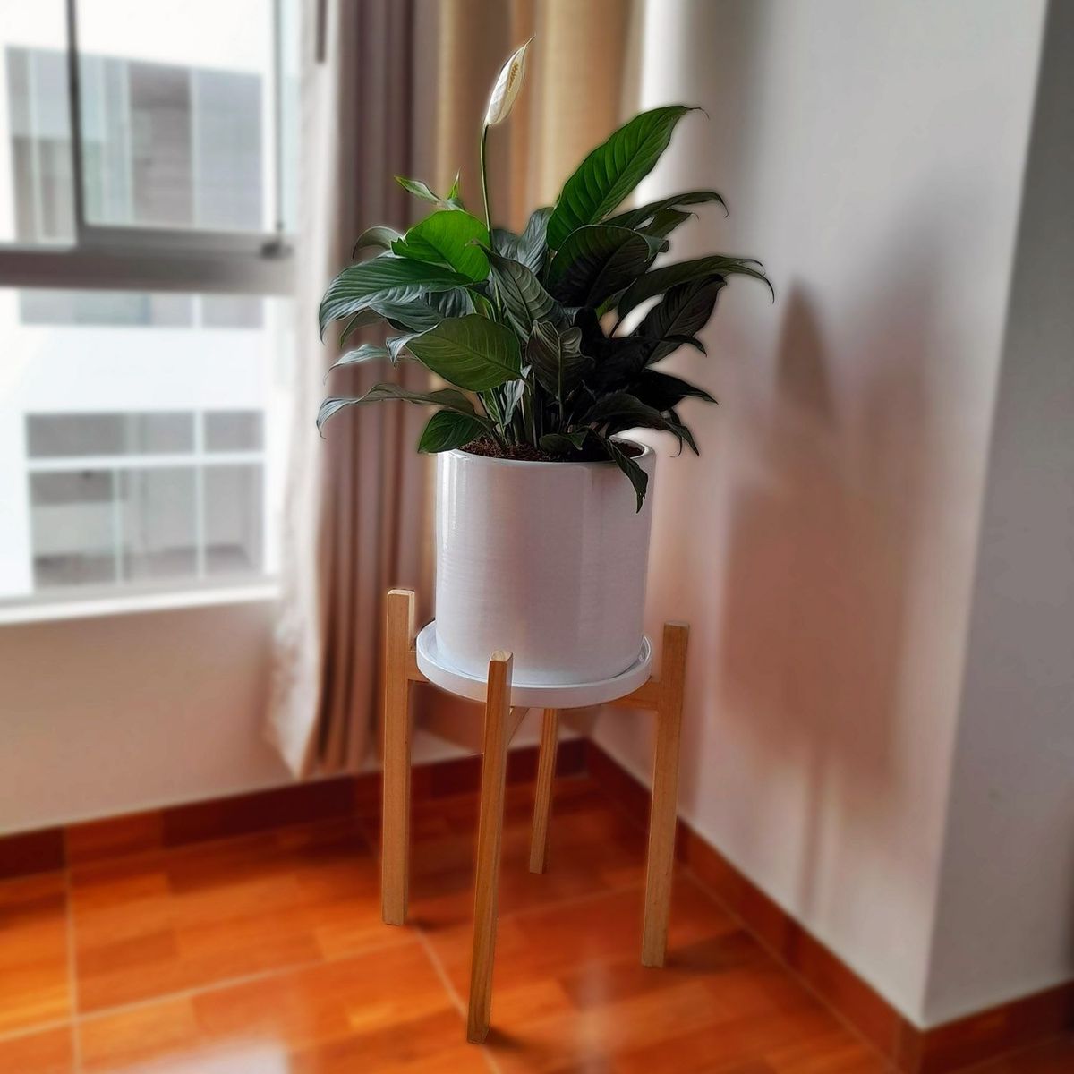 GENERICO - LIRIO DE PAZ EN MACETA Y PEDESTAL DE MADERA