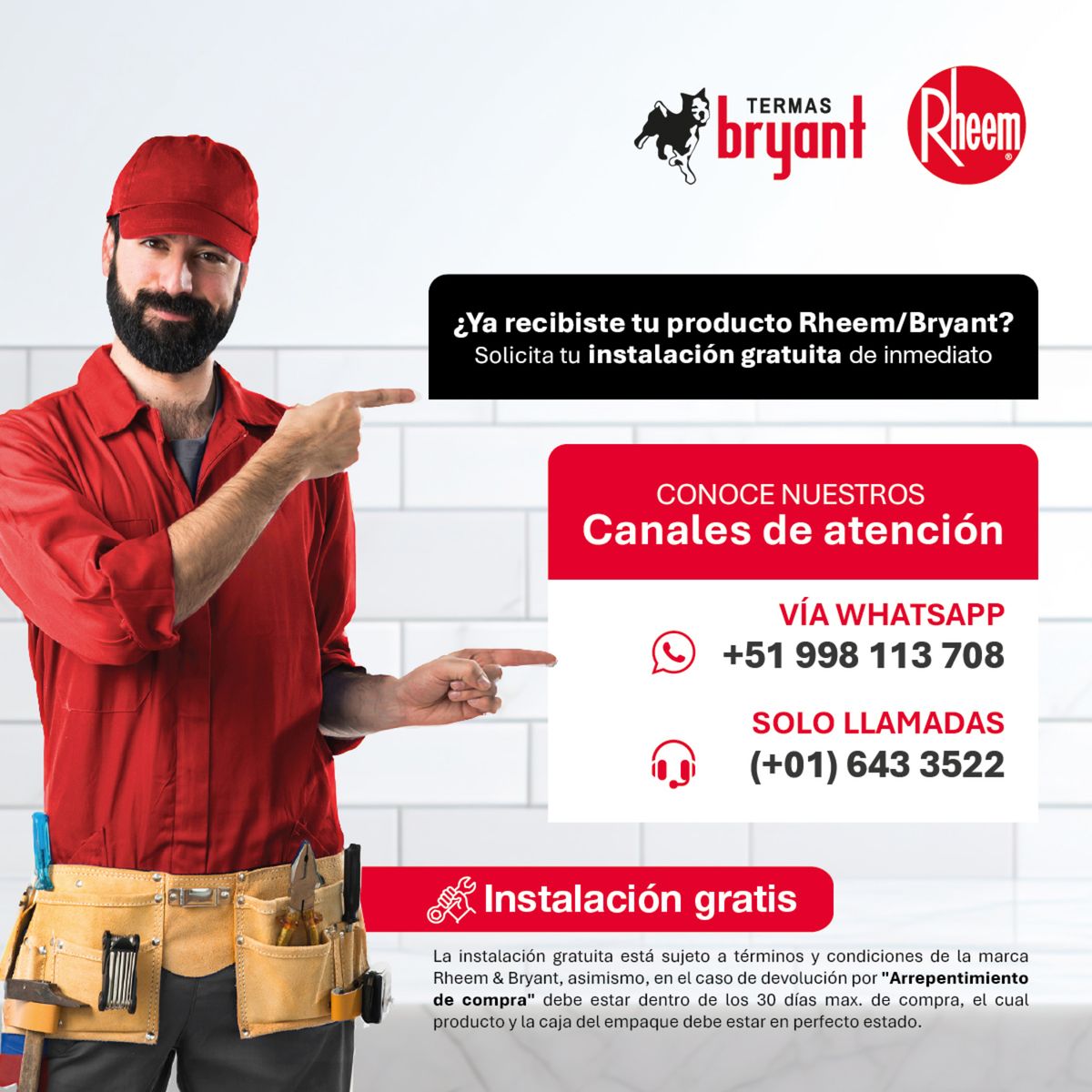 RHEEM - TERMA ELÉCTRICA DE PISO 246L RHEEM