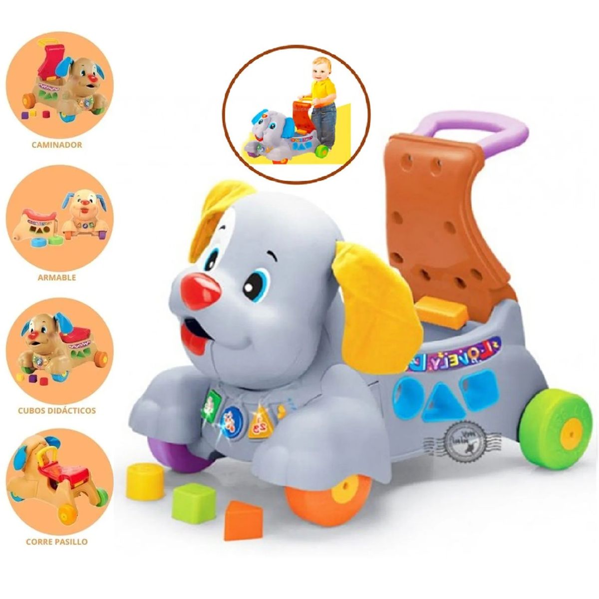 IDEAL - Correpasillos caminador musical perrito 2 en 1