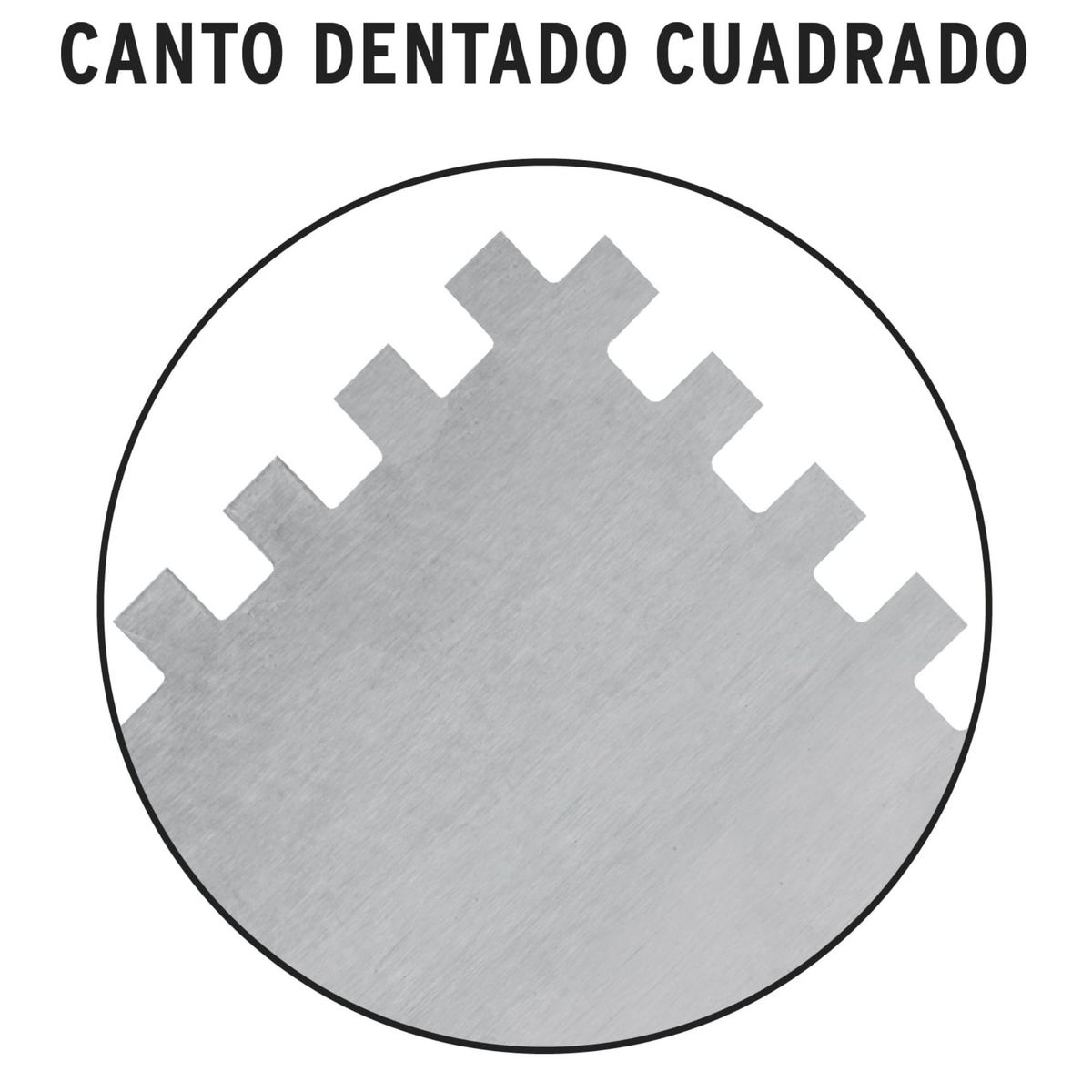 TRUPER - Raspin profesional 11Pulg. 6 remaches, mango plástico Truper