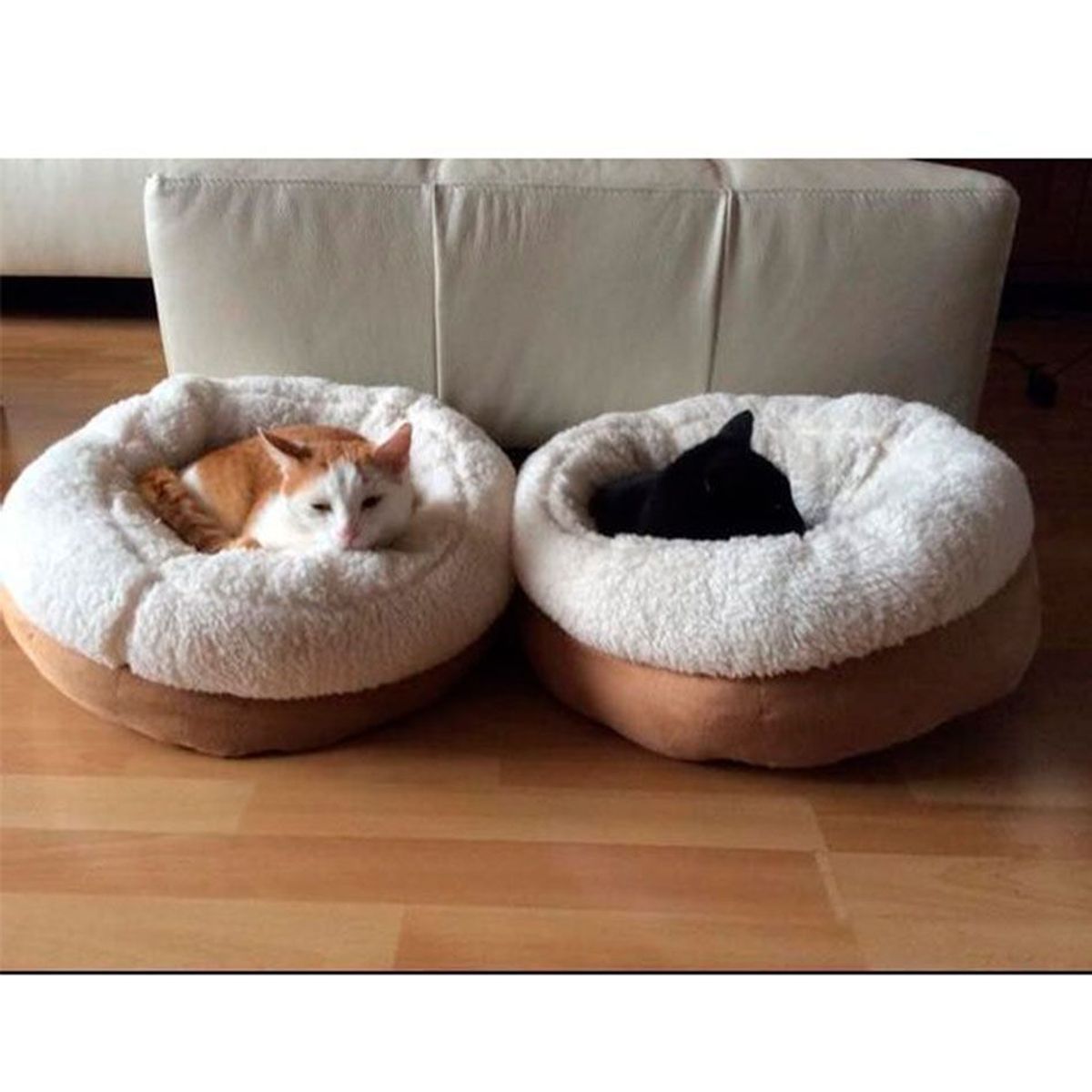 ALL FOR PAWS - Cama para perros cordero escondido acolchado - Crema