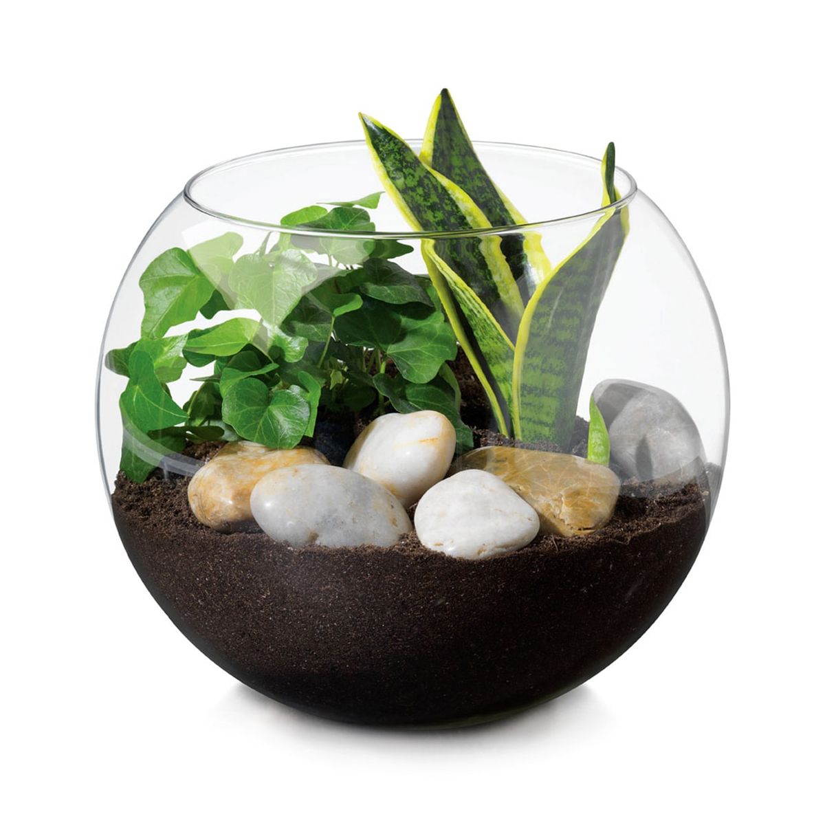 LIBBEY - Florero en Forma de Pecera 20.96 cm. x 25.4 cm