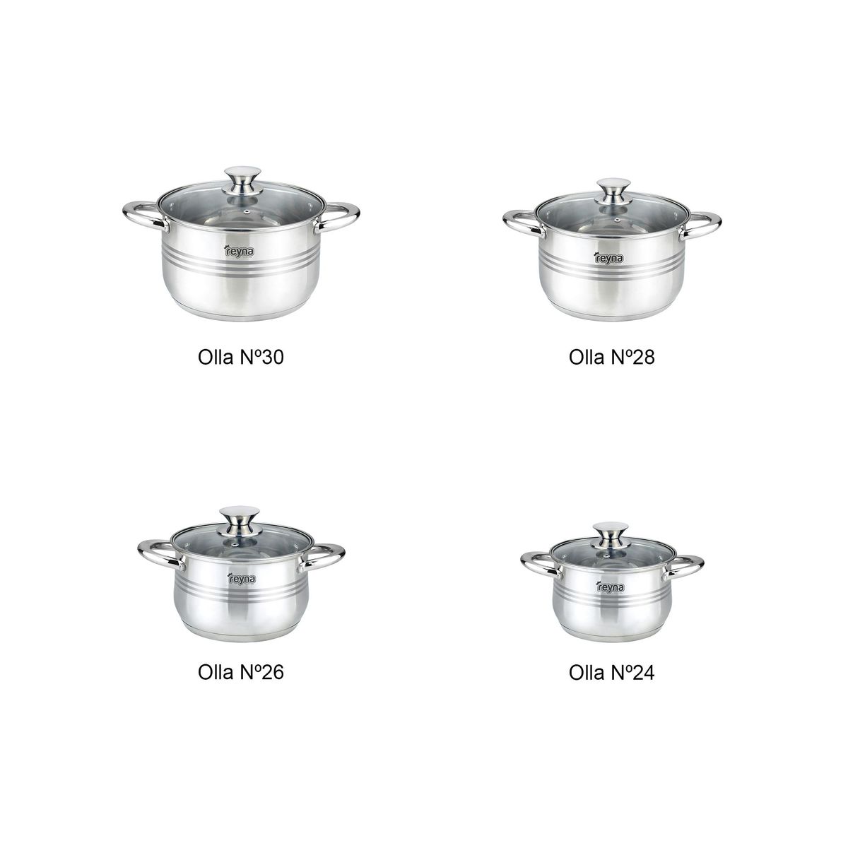 Reyna - Juego ollas de acero Professional Plus 8 piezas