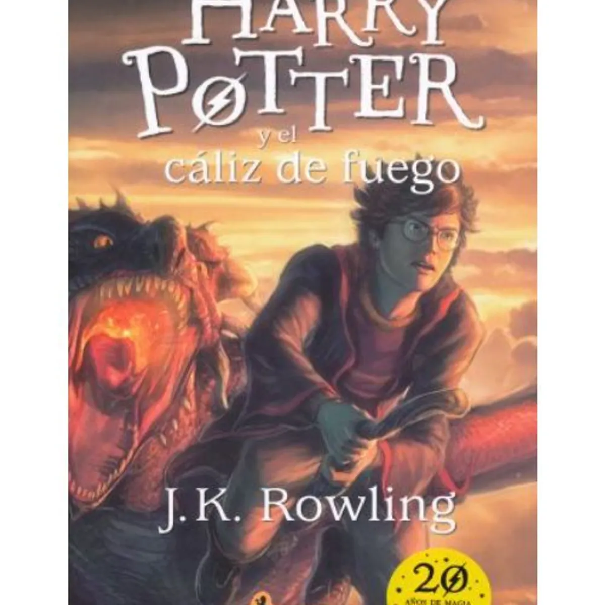SALAMANDRA - Harry Potter4 - Harry Potter Y El C?Liz De Fuego - J. K. Rowling