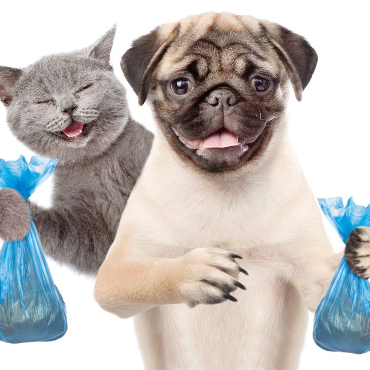 GENERICO - Scooper of pets poops