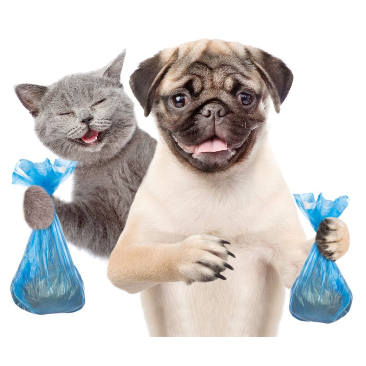 GENERICO - Scooper of pets poops