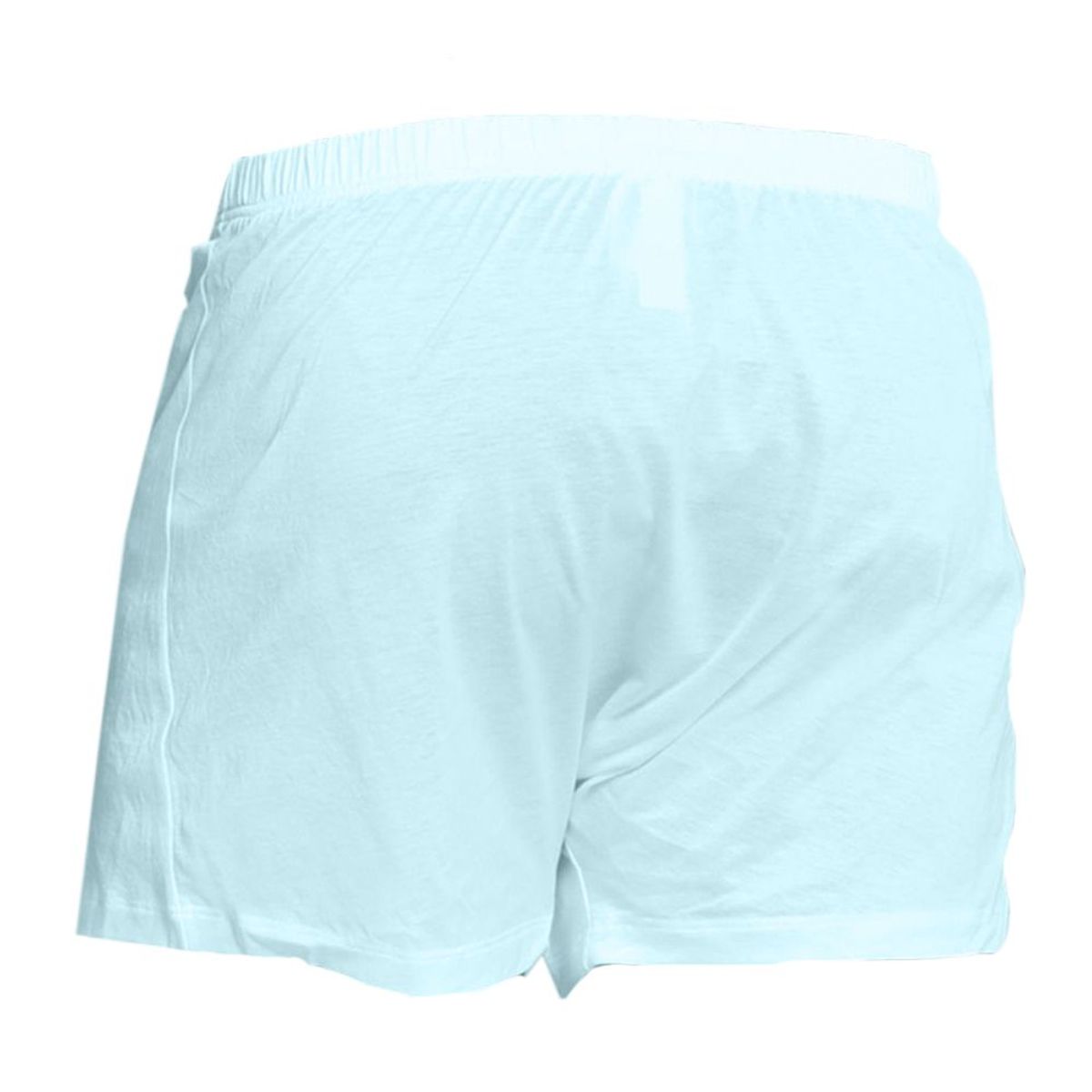 BOSTON - Short Boston De Algodón Recubierto Celeste