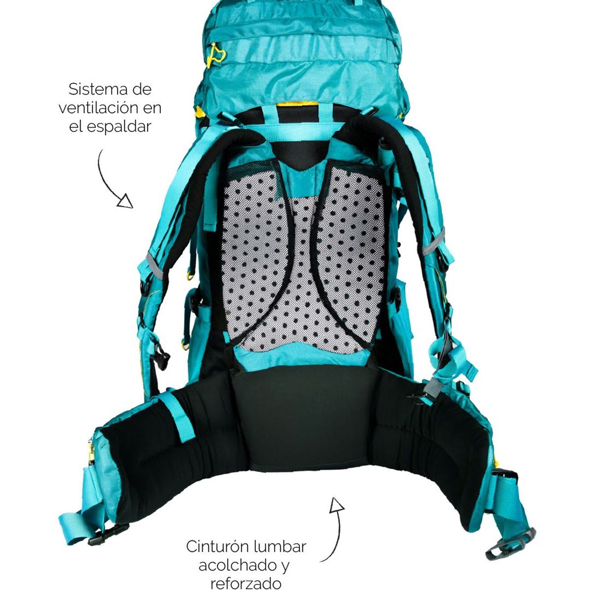 NATUREHIKE - Mochila alpina de campamento Naturehike 45L Turquesa