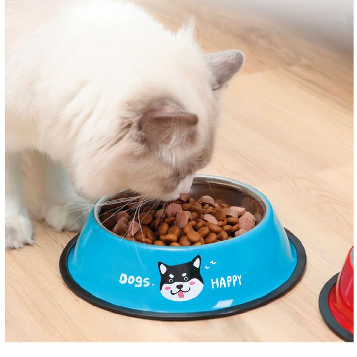 GENERICO - Plato Comedero Para Mascotas Dogs Happy