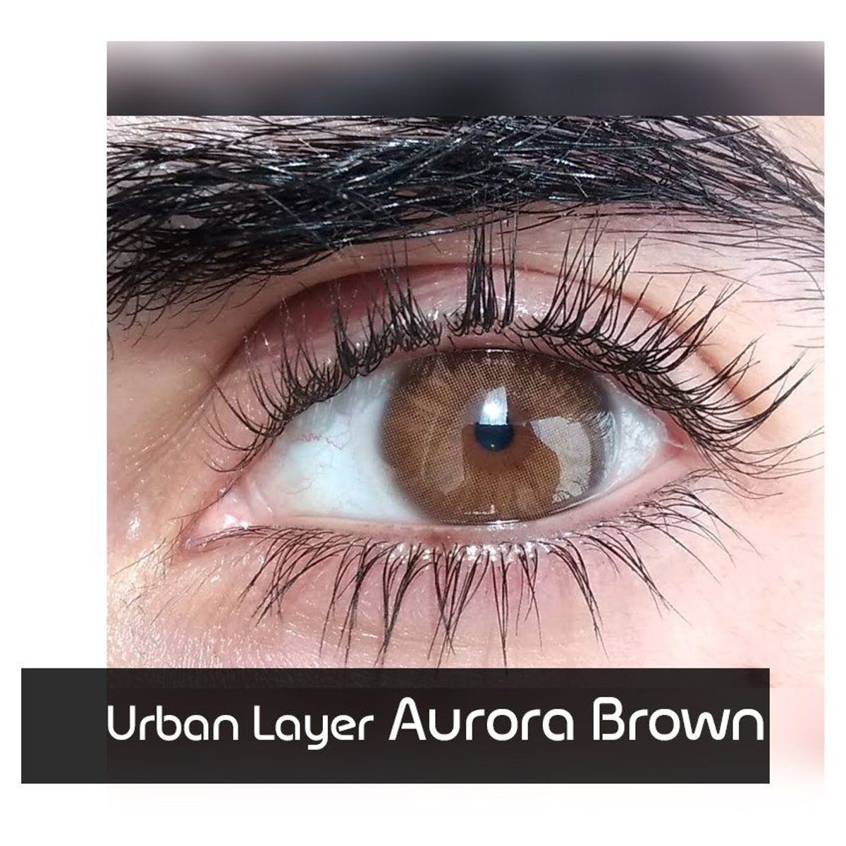 URBAN LAYER - Lentes de contacto Urban Layer Aurora Brown