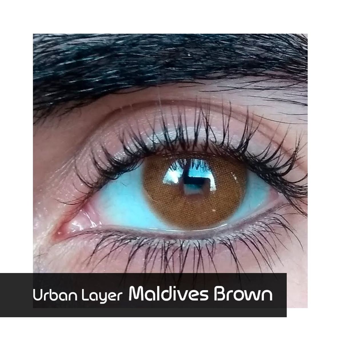 NU COLOR - Lentes de contacto UL Maldives Brown