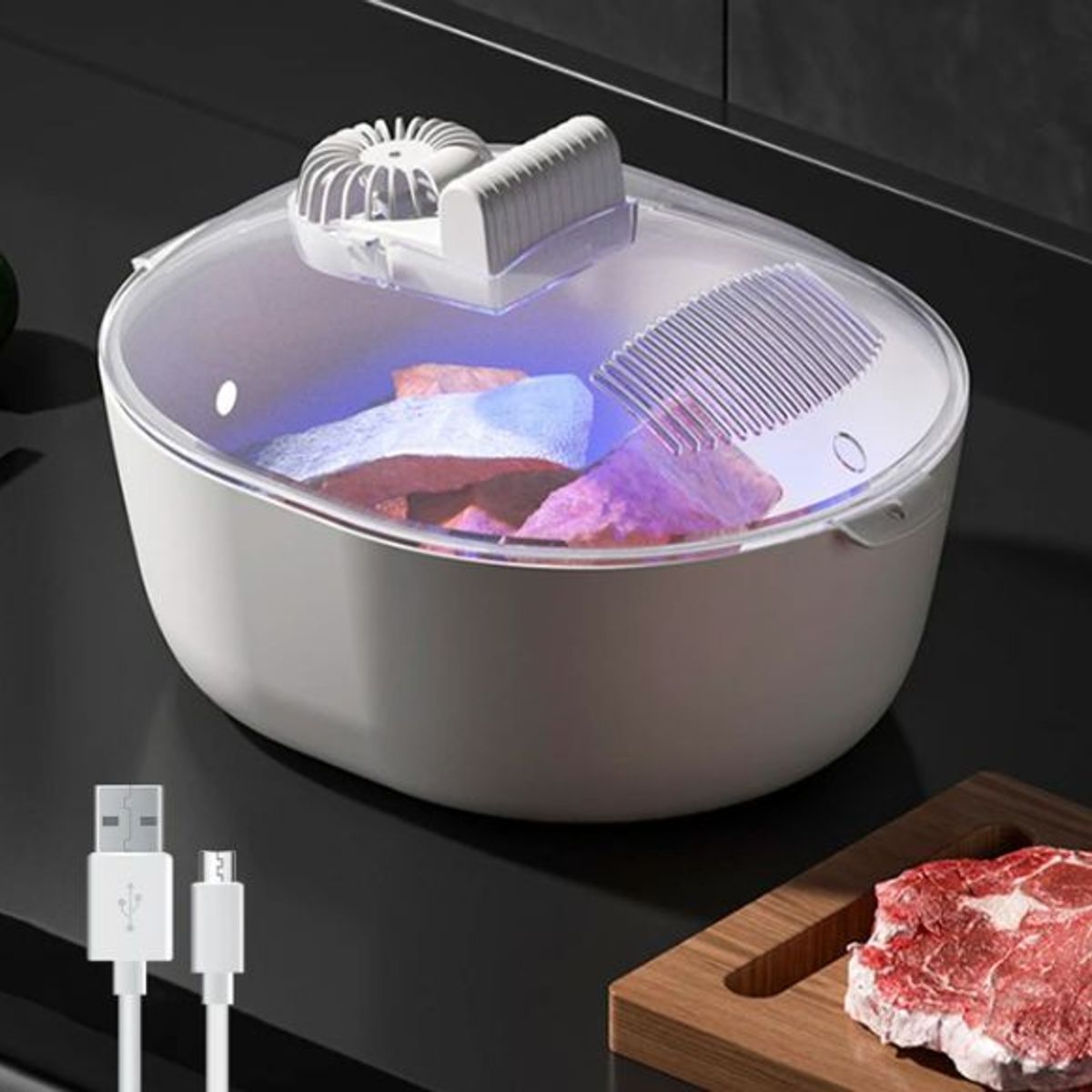 GENERICO - Bandeja de descongelación para carne congelada 4 en 1