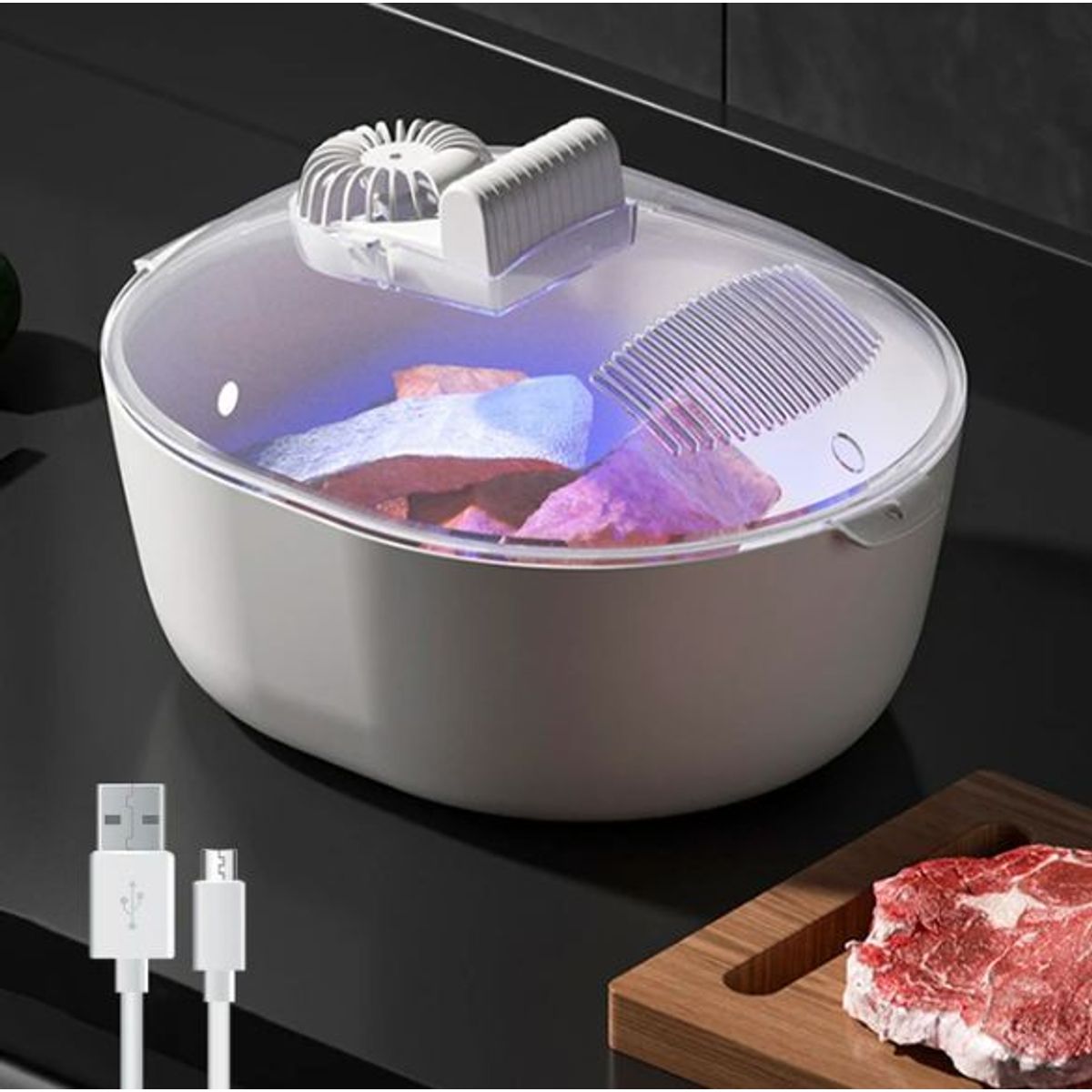 GENERICO - Bandeja de descongelación para carne congelada 4 en 1