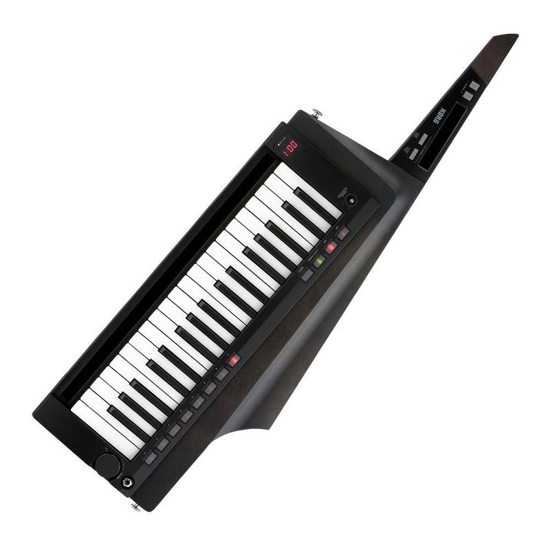 KORG - Keytar - KORG - RK-100 S2 BK