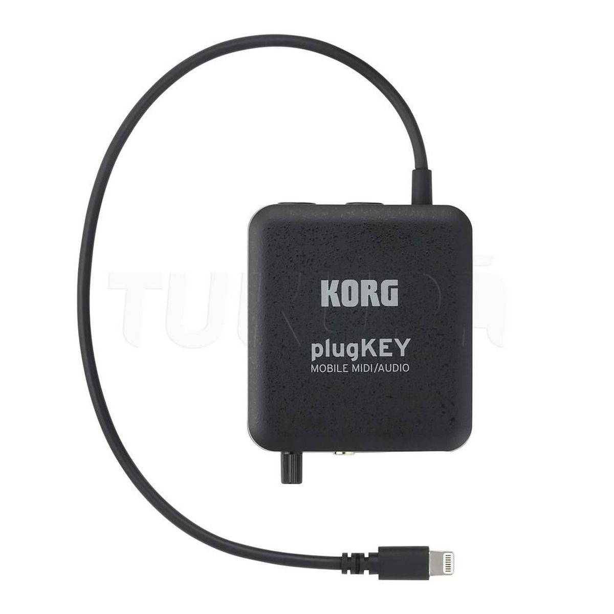 KORG - Interfaz de Audio - KORG - PLUGKEY-BK - Negro